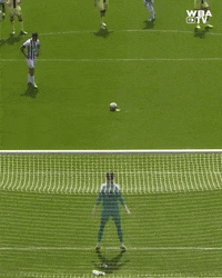 West Brom Football GIF by West Bromwich Albion
