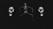 day of the dead dancing GIF by Peter Bjorn and John