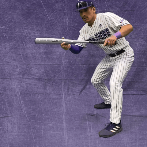 Kdub GIF by KWC Panthers