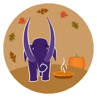 Pumpkin Pie Thanksgiving Sticker by Amherst College