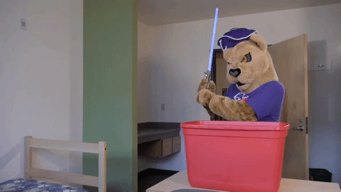 star wars mascot GIF by Linfield College
