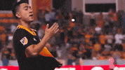 Lets Go GIF by Houston Dynamo