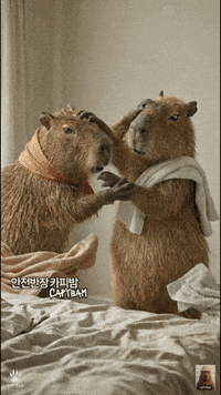 Safety Capybara GIF