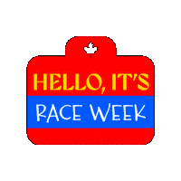 Formula 1 Racing Sticker