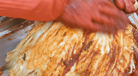 jseinyyi giphyupload GIF