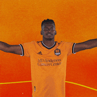 H Town Reaction GIF by Houston Dynamo FC