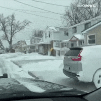 GIF by euronews