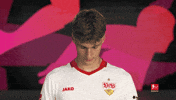 Look Up Vfb Stuttgart GIF by Bundesliga