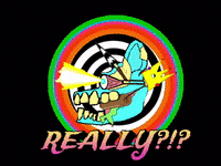 What Wtf GIF