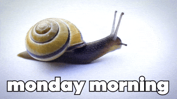 Monday Morning Lol GIF by Sealed With A GIF