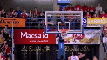 liga endesa basketball GIF by ACB