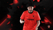 Lets Go Applause GIF by Tribe Gaming