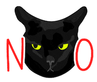 Black Cat No Sticker