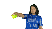 Italia Italiateam Sticker by FIBS - Federazione Italiana Baseball Softball