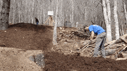 Working Hard Yard Work GIF by JC Property Professionals
