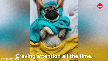 Attention