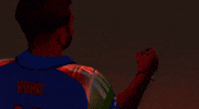 Mumbai Indians India GIF