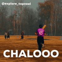 India GIF