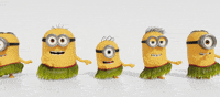 Dance Dancing GIF by Minions