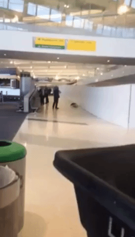 Newark Airport Terminal Evacuated After Man Enters Secure Hallway
