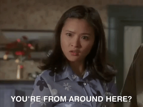 the mystery files of shelby woo nicksplat GIF