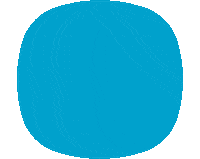 Local Heroes Badge Sticker by Co-op