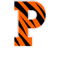 Princeton Basketball Sticker by Princeton University