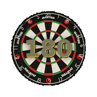 Bingo Alfa Sticker by Darteg