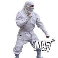 masmartialbox argentina ninja blanco mas Sticker