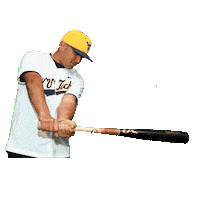 Baseball Sticker by WVU Tech Golden Bears