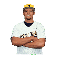 Baseball Sticker by WVU Tech Golden Bears