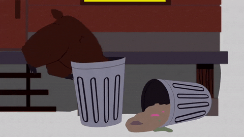 bear trash GIF by South Park 