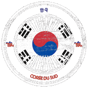 Korea Noir Sticker by NoirNomads