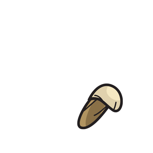 Mushroom Sticker by Fungi Academy