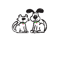 aMANdasBestFriend raleigh dogwalking dogwalkingraleigh amandacheney Sticker