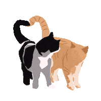 Cat Love Sticker
