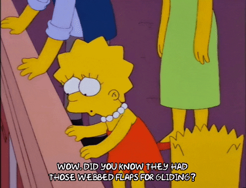 bart simpson episode 3 GIF