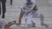 Northwestern Football GIF by Northwestern Athletics