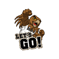 UNCP letsgo uncp pembroke bravehawk Sticker
