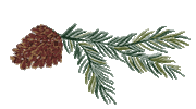 Let It Snow Christmas Sticker by mistletoe marketplace