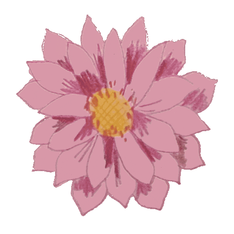 lucie_lev giphyupload pink flower flowers Sticker