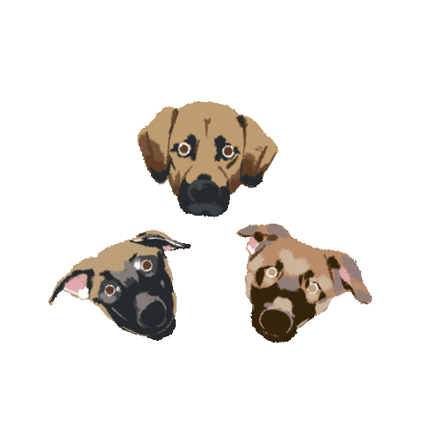 Happy Dog Sticker