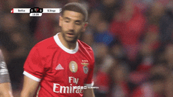 Sl Benfica Slbgifs GIF by Sport Lisboa e Benfica
