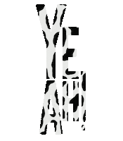 Cow Farm Sticker by Studio Paper