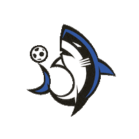 shark hai Sticker by Clube Atlético Tubarão