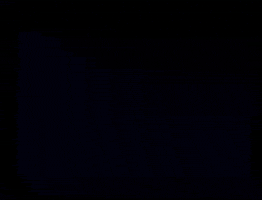 Fly Away GIF by Pokémon