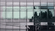 GIF by jorgemariozuleta