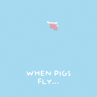 Flying Pig GIF by PositivelyPigasus