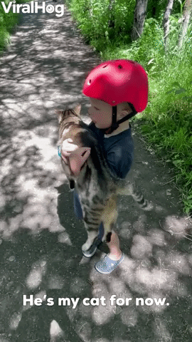Small Boy “Adopts” Neighbor’s Cat 
