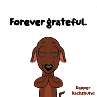 Dog Thank You GIF by VeeFriends